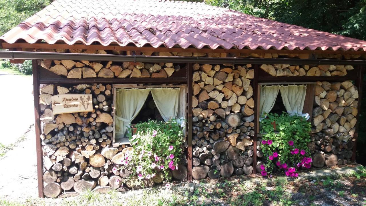Appartment Bezenica Dobrova Exterior photo